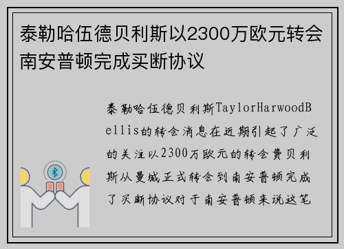泰勒哈伍德贝利斯以2300万欧元转会南安普顿完成买断协议