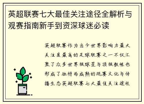 英超联赛七大最佳关注途径全解析与观赛指南新手到资深球迷必读